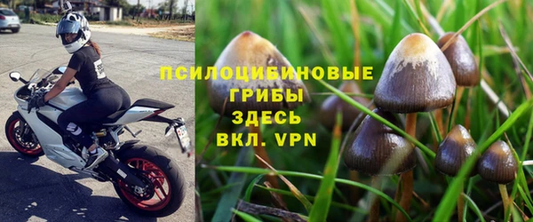 прущий лед Алзамай