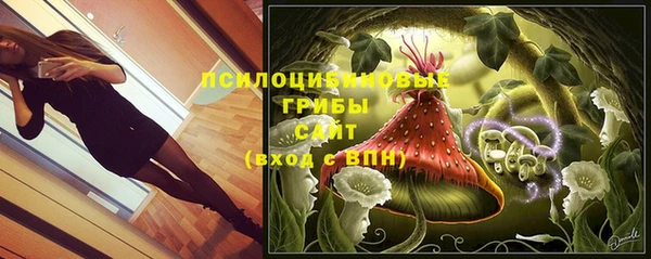 гидропоника Алексеевка