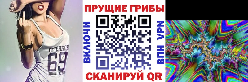 Галлюциногенные грибы GOLDEN TEACHER  это наркотические препараты  Карабулак 
