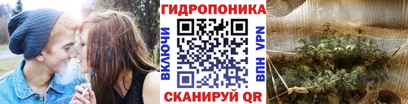 Каннабис OG Kush Карабулак